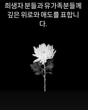 제주항공 참사 현장 수색 작업 완료, 대학 등록금 지원조치 및 악성 댓글 검거 소식 공개