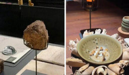 中 식당 코끼리 대변 디저트 판매 논란…유충 포함 코스 요리 75만원