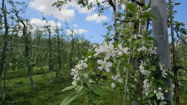 이번에 정차할 역은 충남…볼 수록 아름다운 장소 가득