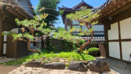 전북 현대, 전주한옥마을 정원 조성 후원