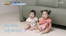 [SC리뷰] 박수홍 딸 재이, 박슬기 딸 리예와 친구됐다…2024 용띠 클럽 결성 (슈돌)