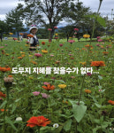 박준형, 90평 90억 집주인 ♥김지혜에 “꽃이랑 구별 안 돼” 주접 폭발