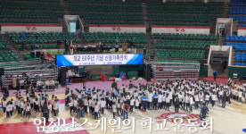 황혜영, 子 초등학교 운동회 규모 깜짝..잠실학생체육관 통째로 빌려
