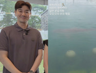 한상진, 3m 대형 상어 '부캉이' 유영 목격 