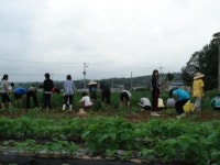 위대한 평민과 생각하는 농민의 마을