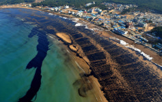 만리포의 ‘기적’…마침내 은빛 모래사장 되찾았다