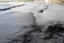 만리포의 기적, 천리포넘어 백리포·십리포까지