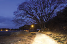 고향 길 굽이굽이 그리움이 달려간다