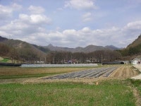 ‘진안 월평리 하초마을 숲’천연기념물 지정예고