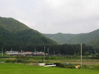 ‘진안 월평리 하초마을 숲’천연기념물 지정예고