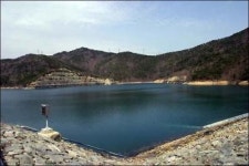 여유로운 벚꽃구경 삼랑진으로 떠나요