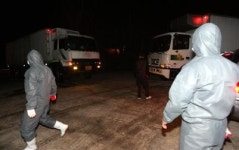 AI피해 확산 방지 주력…강도높은 방역