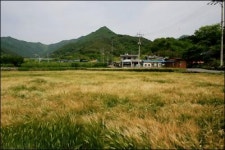 형제의병장 마을 쌍의사에 가보셨나요?