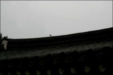 형제의병장 마을 쌍의사에 가보셨나요?