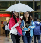 밤새 강풍폭우로 전국 비피해 속출해