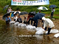 토종 메기로 황소개구리 퇴치 작전 나서