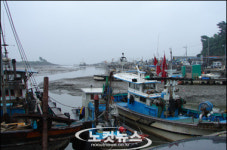 해경 경찰관의 작은 친절 하나, 어촌마을 활기 불어넣어