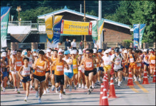 삼척비치하프마라톤대회, 7일 황영조기념공원에서 열려