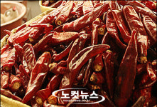 고추 밟고 지나간 외제차량을 공개수배합니다