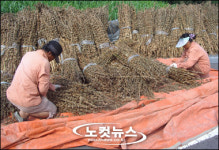 치솟는 기름값 걱정에 농민들 한숨