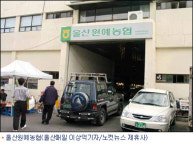 울산원예농협 경매가 담합 의혹