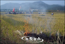 경남 농민들, 벼논 불태우는 등 격렬 시위