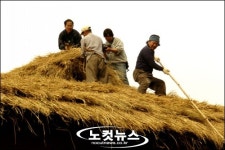 조선시대 서민가옥 까치구멍집 교체 작업