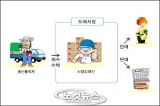 농산물 유통, 이제는 달라져야 한다
