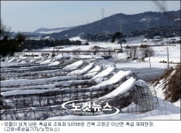 전북 폭설 초토화…복구인력 800여명+제설장비 360여대 투입