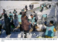 건강보험공단 연합봉사단 폭설피해 복구 구슬땀