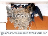 내가 편안하고 건강하니 그게 박씨