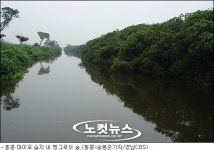[세계 습지를 가다]②홍콩, 보전지역 훼손 경우 대체지 조성