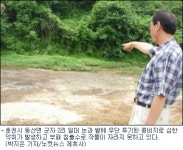 악취에 토양·수질오염까지…콩비지 수백t 무단투기 물의