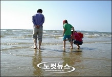 강원도 민박 주인 등 돌리는 피서객들, 강원도민 두 번 죽어요