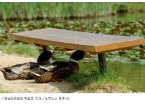 오리야, 너도 태양을 피하고 싶었구나