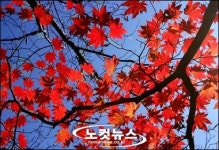 하룻밤만… 막무가내 등반객… 설악산 단풍관광 숙박전쟁