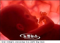 케이블, 풍성한 한가위 프로그램 진수성찬