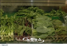 경기도 잔류농약 기준치 초과 농산물 대량 유통