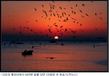 일몰, 일출,  한자리서 보자 부산 몰운대 각광