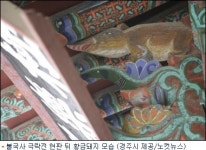 경주 불국사에서 황금돼지 발견