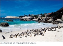 빙그레세계일주관광여행주 | 롯데관광 '30일간의 세계일주' 패키지 상품 출시