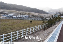 장수 경주마 육성 목장 3월 개장…40억 씨수마 도입