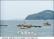 새만금 여파 실뱀장어 가격 220% 폭등