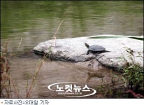환경 지킴이, 하천오염 활동 감시