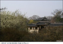 월영매 즐기러 창덕궁으로 가자~