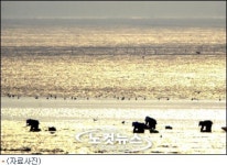 서해안 해수범람 1명 사망, 재산피해 19억 추산