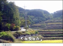 야산 등 경작지로 둔갑시켜 수억 국고보조금 가로채