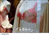 여성 속옷 입고있던 변태남 순찰 경찰에 딱 걸려