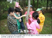 나무들의 심장뛰는 소리를 들어보아요