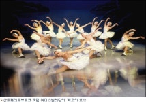 백조의 호수…근육질 남성 vs 아이스 발레